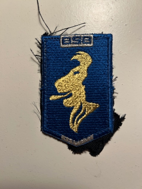 Proefmodel van het mouwembleem BSB
origineel ontvangen van de voormalig BSB adjudant
