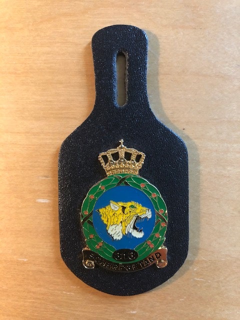 313 squadron
