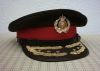 Bek2C_DT63_28pet29_site.jpg