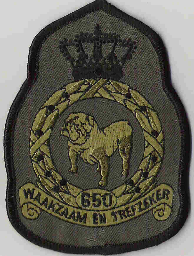 650.jpg