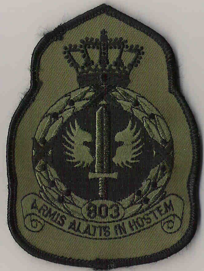 803.jpg