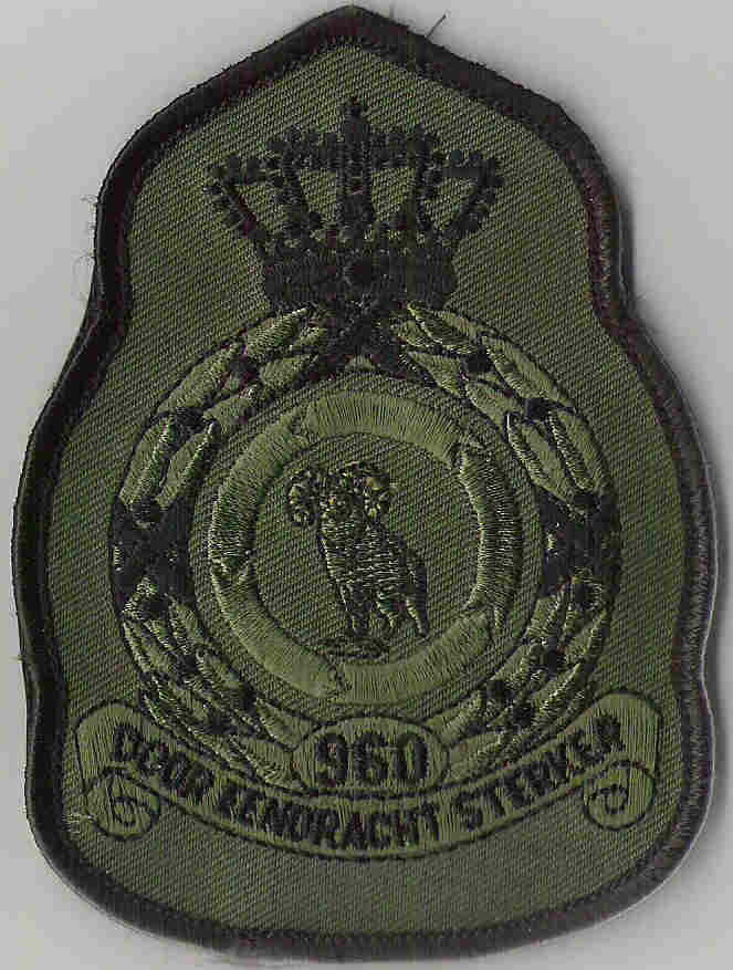 960.jpg