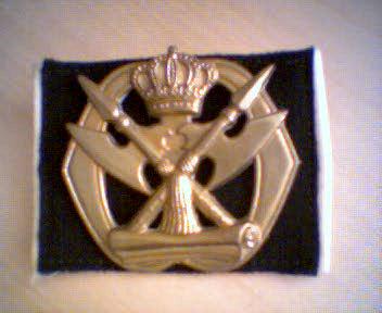 Baretembleem_Jur_oud_model_kroon_Begeer.jpg