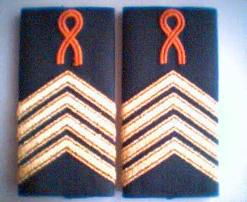 GALA_sergeant_majoor_in_opleiding_officier_beroeps_onbepaalde.jpg