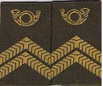 Korp 1 gele hoorn gvt
