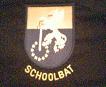 Halsdoeken_joost_5_035s.JPG