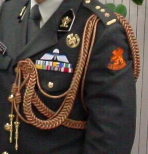 Nestel attache
