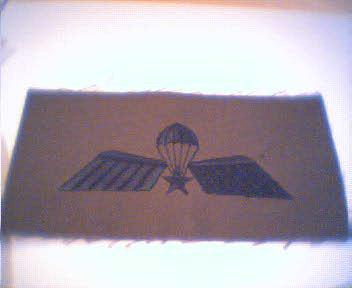 Parawing_KCT_GVT_80_jaren.jpg