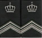 Wachtmeester 1 instructeur
