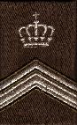 Wachtmeester 1 instructeur
