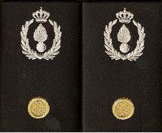 brigade_school_adjudant_blouse
