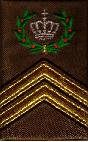 CSM
