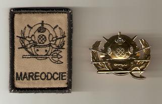 emblemen1.jpg