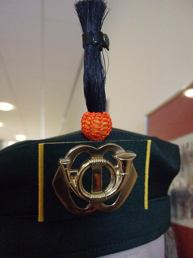 fotocerm2.jpg