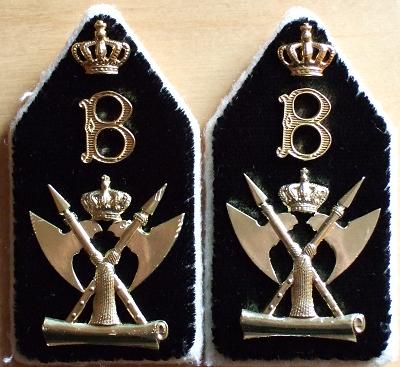 Kraagspiegels Adjudant buitegewone dienst

