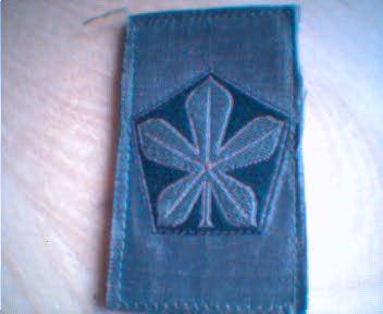 mouw_008_5_DIV.jpg