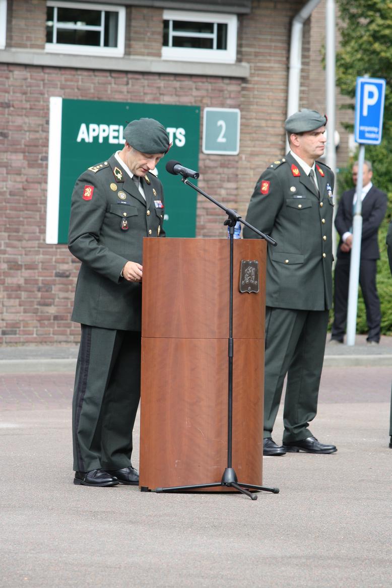 od8.jpg