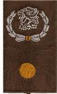 Adjudant RVE. Brigade adjudant

