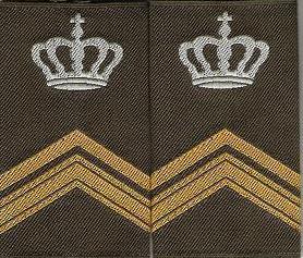 Serg 1 instructeur
