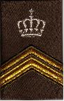 Serg 1 instructeur

