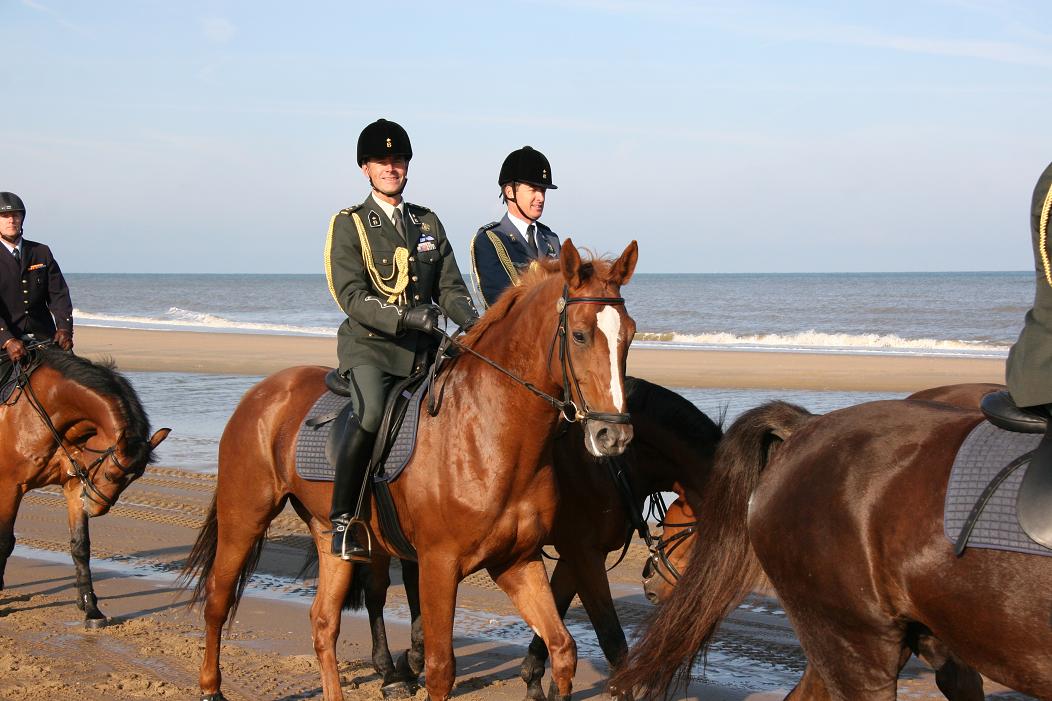 site_Strand_2008_087.jpg