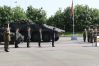 C-overdracht_13X_12-05-2016_site_2.jpg