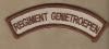 Mouwband_Desert_Regiment_Genietroepen.jpg