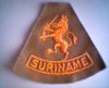 Mouwleeuw_Suriname.jpg