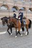 Prinsjesdag_20-09-2016_(676)_site.jpg