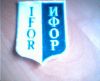 mouw_030_IFOR_GVT_mouwband.jpg