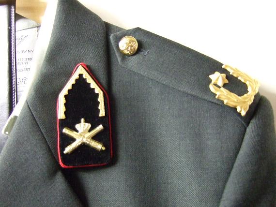 Detail uniform Rosengarten
