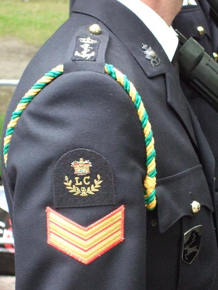 vet200926.jpg