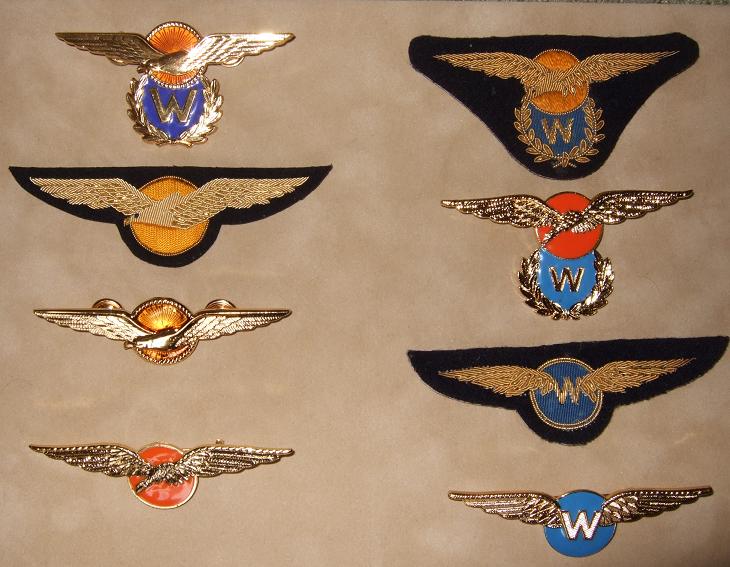 wingsmetaalstof.JPG