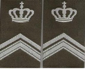 Wachtmeester 1 instructeur
